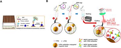 Advanced nanomaterial for prostate cancer theranostics